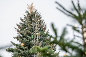 Kauno miesto savivaldybė Liko vos kelios dienos iki Kauno eglės įžiebimo: atskleista kaip atrodys žaliaskarė